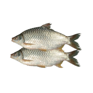 Shor Puti Tray - 250gm pack