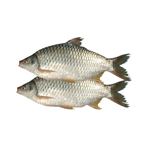 Shor Puti Tray - 250gm pack