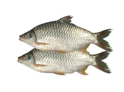 Puti Fish Tray (Shorputi) - 1 lb pack