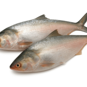 Hilsha (Ilish) Fish — 1000/1200 gm pack (Clean and cut)