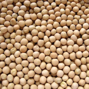 Chotpoti Booter Dal (Vatana Peas) - 4 lb pack