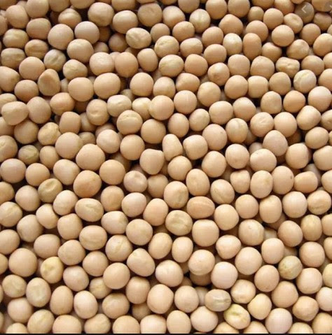 Chotpoti Booter Dal (Vatana Peas) - 2lb pack
