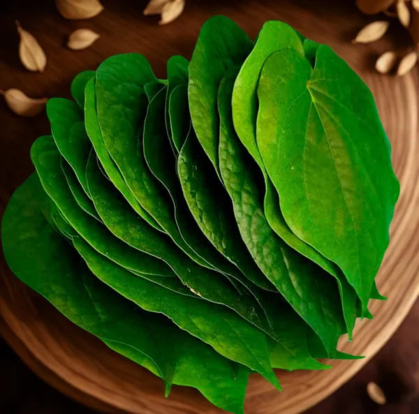 Paan (Betel Leaf) - 1lb pack