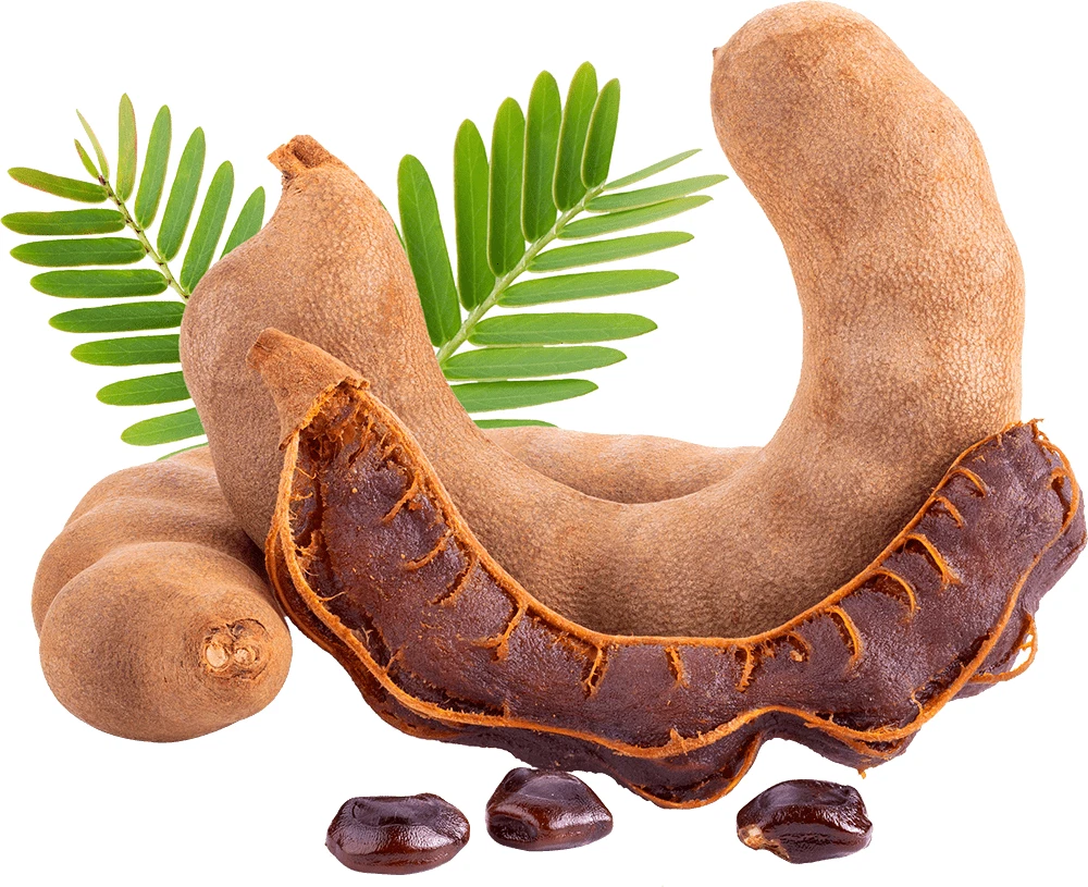 Tamarind (Tetul) - 1lb pack