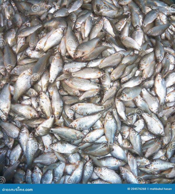 Puti Fish Tray - 250gm pack